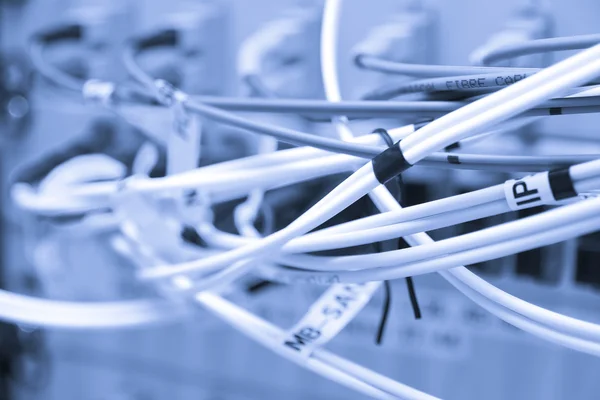 Cables de fibra conectados a servidores — Foto de Stock