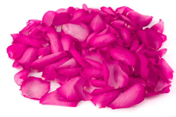 stock image Rose petals