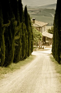 Typical Tuscan landscape clipart