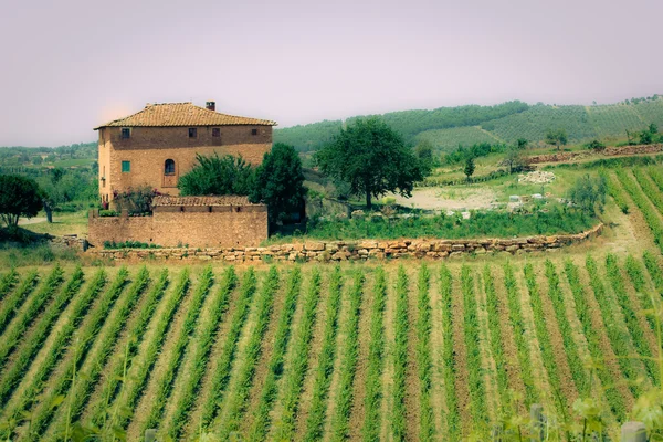 Типовий ландшафт тосканського — стокове фото