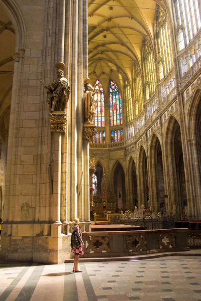 Catedral de Prag — Foto de Stock