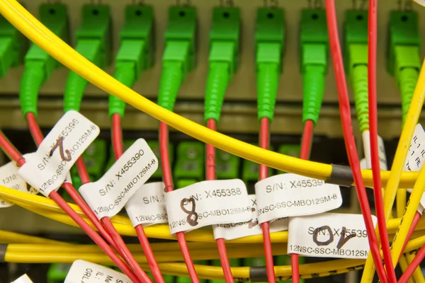 Cables de fibra conectados a servidores — Foto de Stock