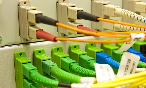 Cabos de fibra conectados a servidores — Fotografia de Stock