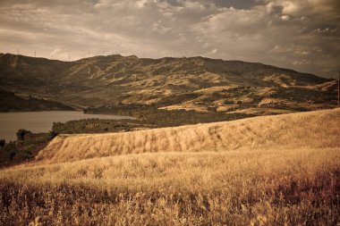 Typical sicilian landscape clipart