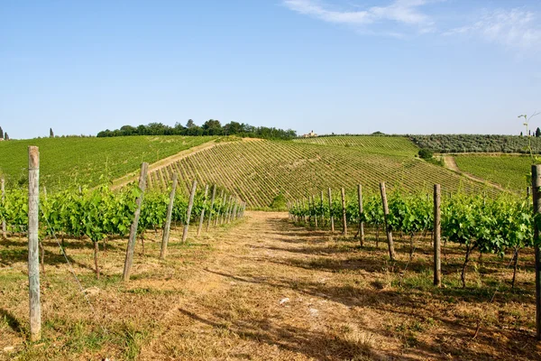 Типичный тосканский пейзаж — стоковое фото