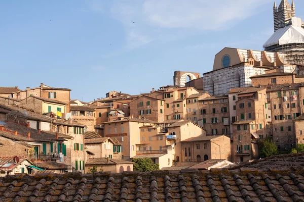 Siena historic architecture — Stock Photo, Image