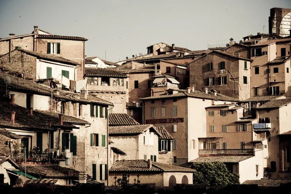 Siena történelmi építészet — Stock Fotó