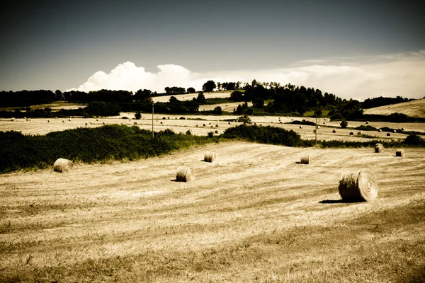 Typical Tuscan landscape — Stock Photo, Image