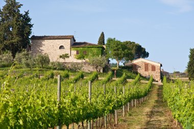 Typical Tuscan landscape clipart