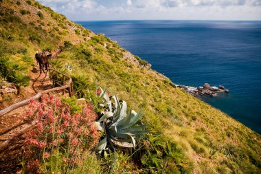 Zingaro Natural Reserve, Sicily clipart