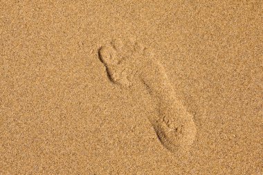 Foot in the sand clipart
