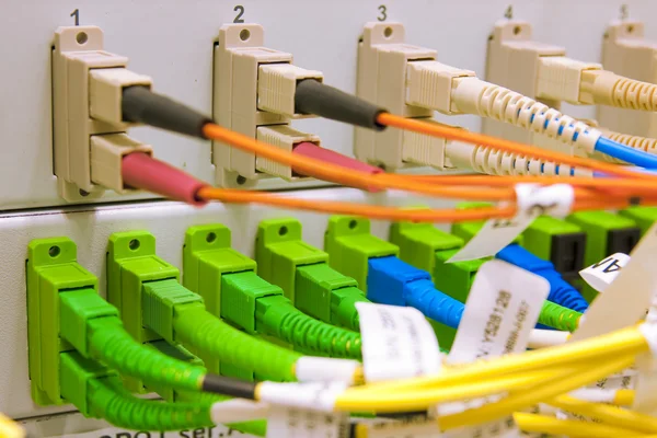 Волоконні кабелі, з'єднані з серверами — стокове фото
