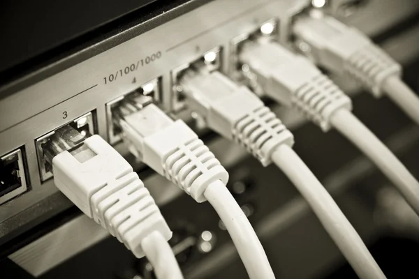 Kable sieciowe podłączone do przełącznika — Zdjęcie stockowe