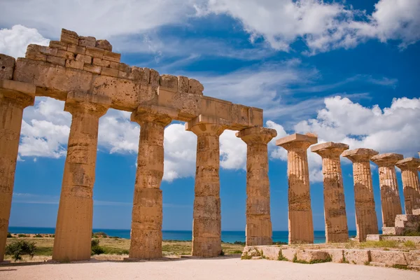 Selinunte Yunan tapınağı — Stok fotoğraf