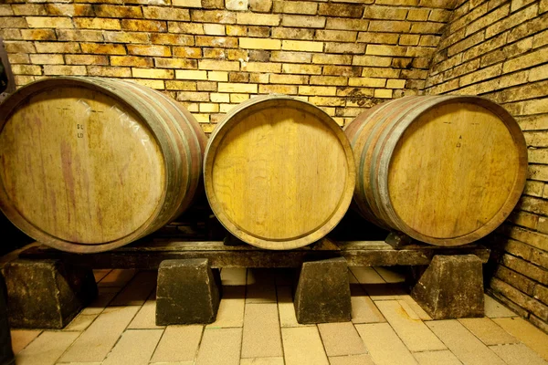 Şarap fıçıları — Stok fotoğraf