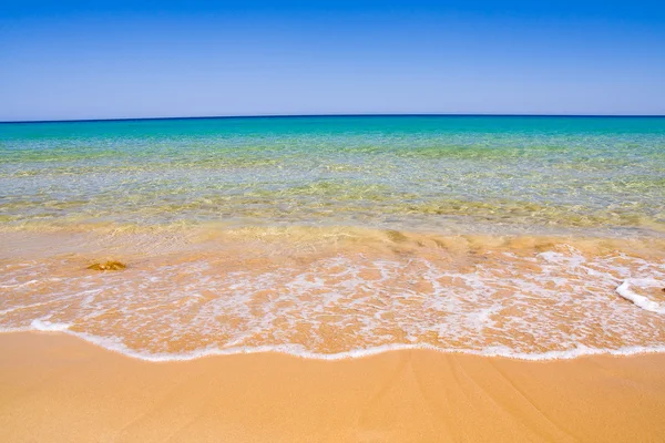 Playa exótica —  Fotos de Stock