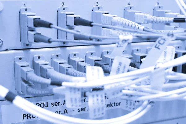 Cabos de fibra conectados a servidores — Fotografia de Stock