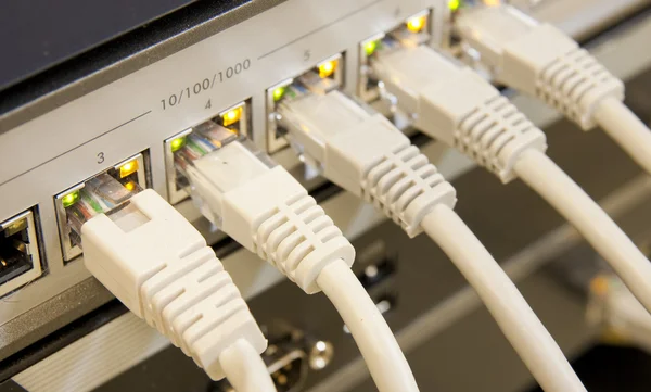 スイッチに接続されたネットワークケーブル — ストック写真