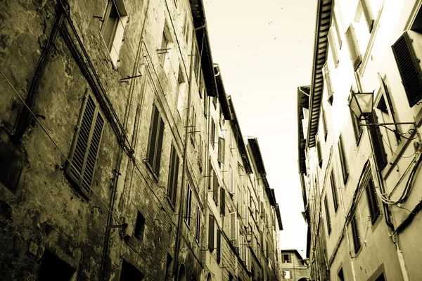 Architecture historique de Sienne — Photo