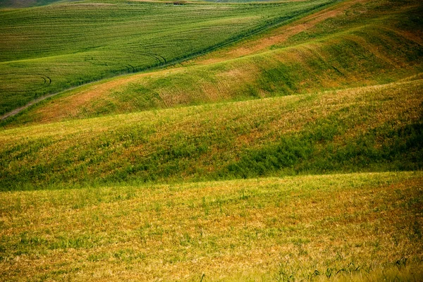 典型的なトスカーナの風景 — ストック写真