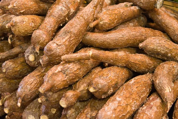 Cassava — Stock Photo, Image