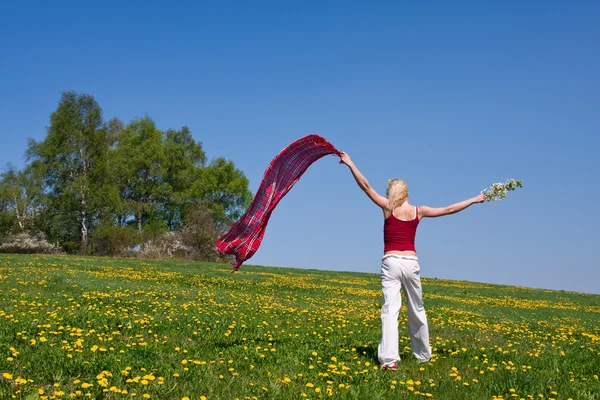 Young woman with a red scarf on a meadow — Stock Photo, Image