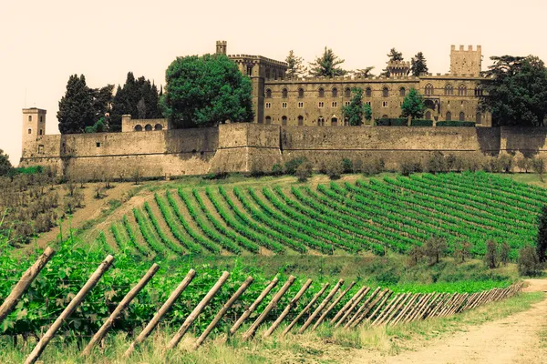 Типичный тосканский пейзаж — стоковое фото