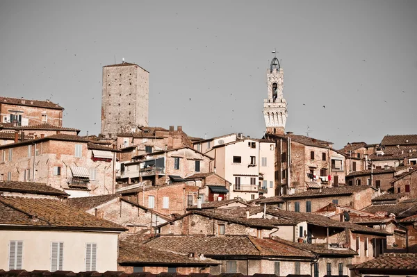Siena történelmi építészet — Stock Fotó