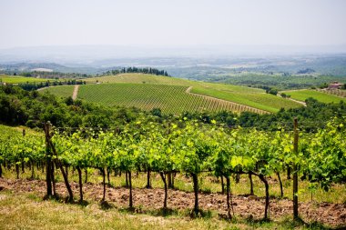 Typical Tuscan landscape clipart