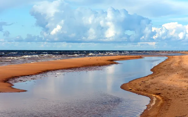 The Baltic Sea beach — Stock Photo, Image