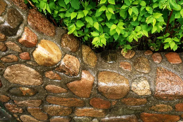 Steinmauer in Großaufnahme — Stockfoto
