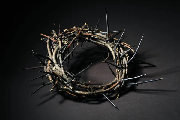 stock image Crown of thorns