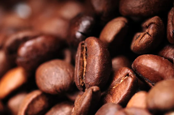 stock image Coffee beans