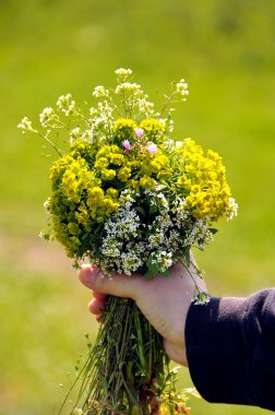 Child hand with flowers clipart