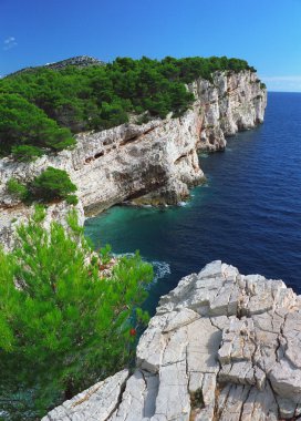 mavi deniz, gün ışığı beyaz uçurum, yaprak dökmeyen ağaçlar