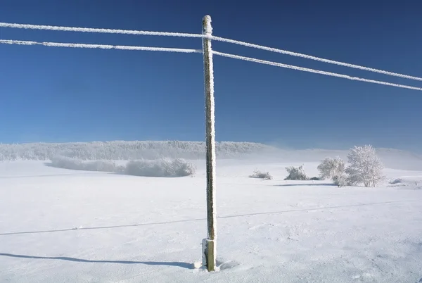 Paysage hivernal avec lignes téléphoniques enneigées — Photo