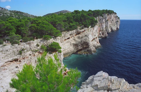 stock image Blue sea, white cliff, evergreen trees, sunshine