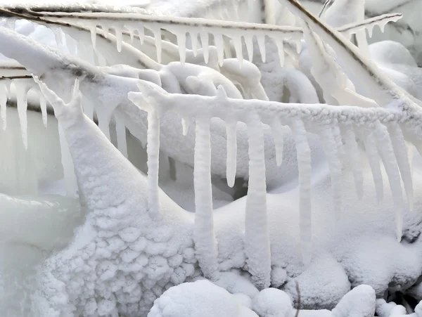 stock image Fantastic lanscape; nice white snowy icicle; bac