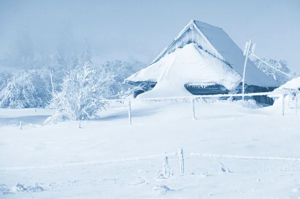 Snowy haus in winter lanscape - blue tinted — Stock Photo, Image