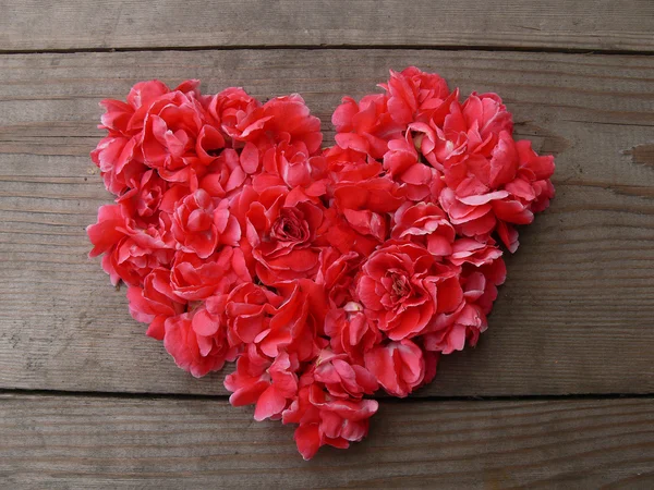 Heart flowers — Stock Photo, Image