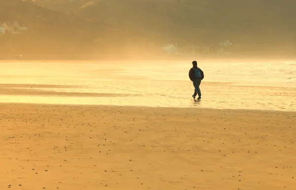 Yalnız kumsalda yürüyen bir adam