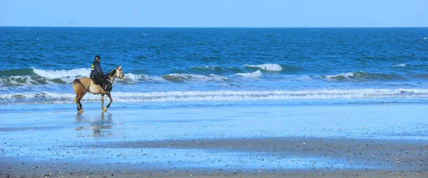 해변에 말 라이더 — 스톡 사진