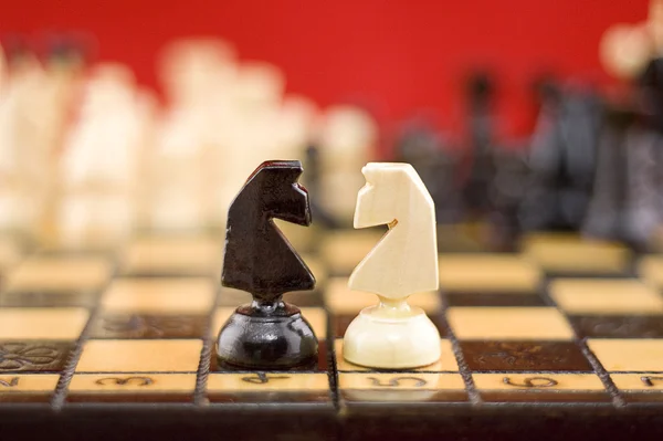 Chess knights' fight — Stock Photo, Image
