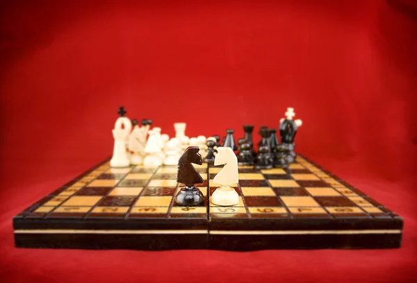 Chess knights fight — Stock Photo, Image