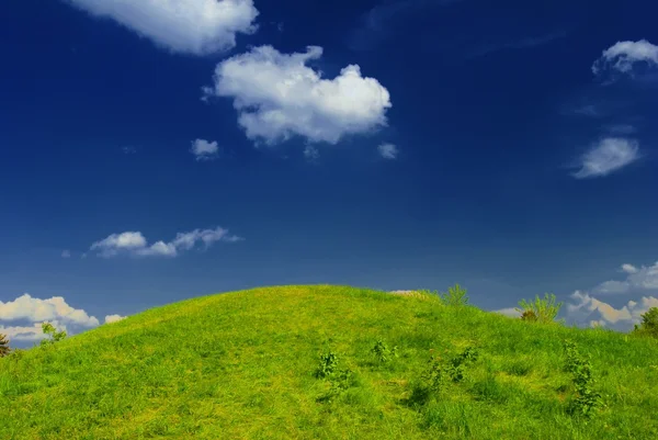 Айдиллический летний зелёный холм — стоковое фото