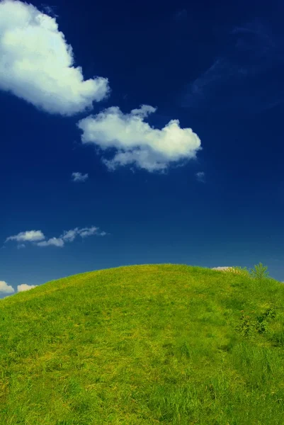 新鲜的夏季绿草 — 图库照片