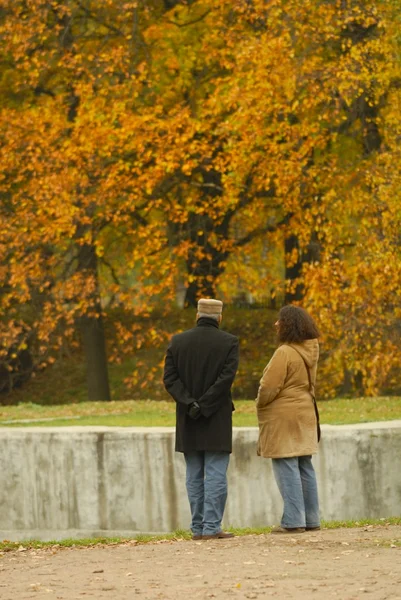 stock image Autumn landscape