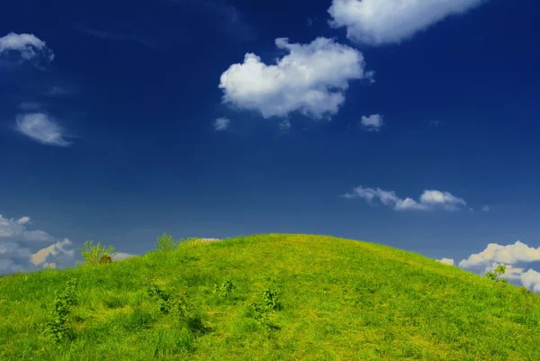 Айдиллический летний зелёный холм — стоковое фото