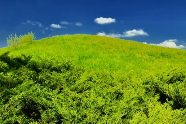 Colina verde, cielo azul de verano —  Fotos de Stock