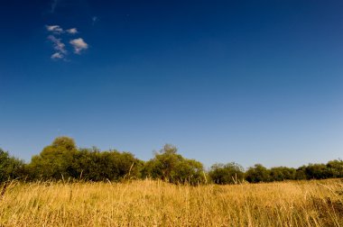 manzara pastoral yaz